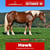 Horse ad