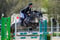 Horse ad