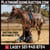 Horse ad