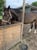Horse ad