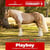 Horse ad
