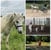 Horse ad