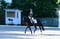 Horse ad