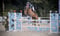 Horse ad