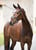 Annonce cheval
