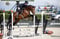 Anuncio de caballos
