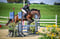 Horse ad