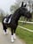 Annonce cheval