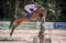 Horse ad