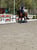Horse ad