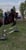 Annuncio cavallo