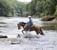 Horse ad