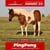 Paardadvertentie