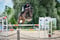 Horse ad