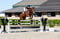 Annonce cheval
