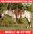 Horse ad