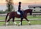 Annuncio cavallo