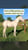 Horse ad