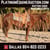 Horse ad