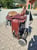 Annuncio cavallo