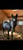 Anuncio de caballos