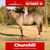 Paardadvertentie