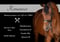 Horse ad