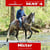 Horse ad