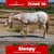 Horse ad