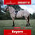 Horse ad