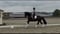 Annuncio cavallo