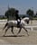 Annuncio cavallo