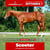 Annuncio cavallo