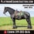 Horse ad