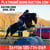 Horse ad