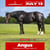 Annuncio cavallo