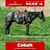 Horse ad