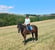 Annuncio cavallo