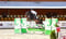 Horse ad