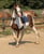 Horse ad