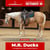 Paardadvertentie