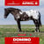 Annuncio cavallo
