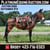 Horse ad