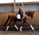Annonce cheval