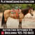 Horse ad