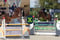 Annonce cheval