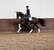 Annuncio cavallo