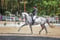 Annuncio cavallo