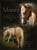 Annonce cheval