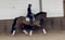 Horse ad